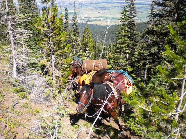 Ruby Peak one steep trail hee haw!